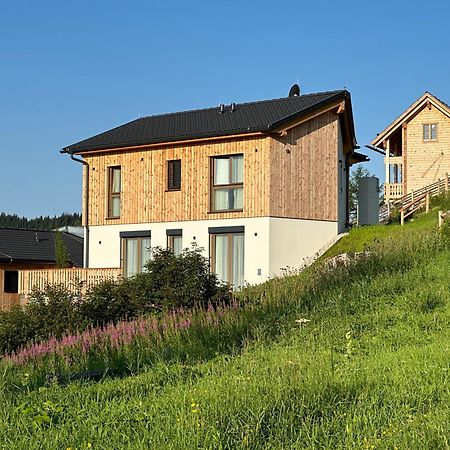 Berglisl - Direkt An Der Schipiste! Neue Ferienwohnung Mit Sauna Klippitztorl Dış mekan fotoğraf