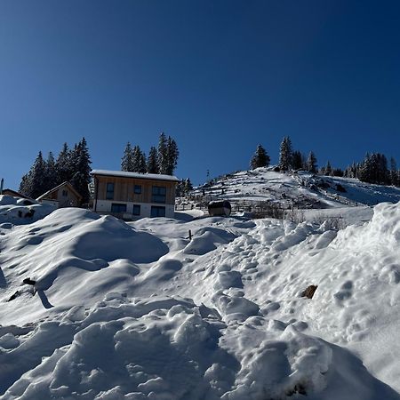 Berglisl - Direkt An Der Schipiste! Neue Ferienwohnung Mit Sauna Klippitztorl Dış mekan fotoğraf