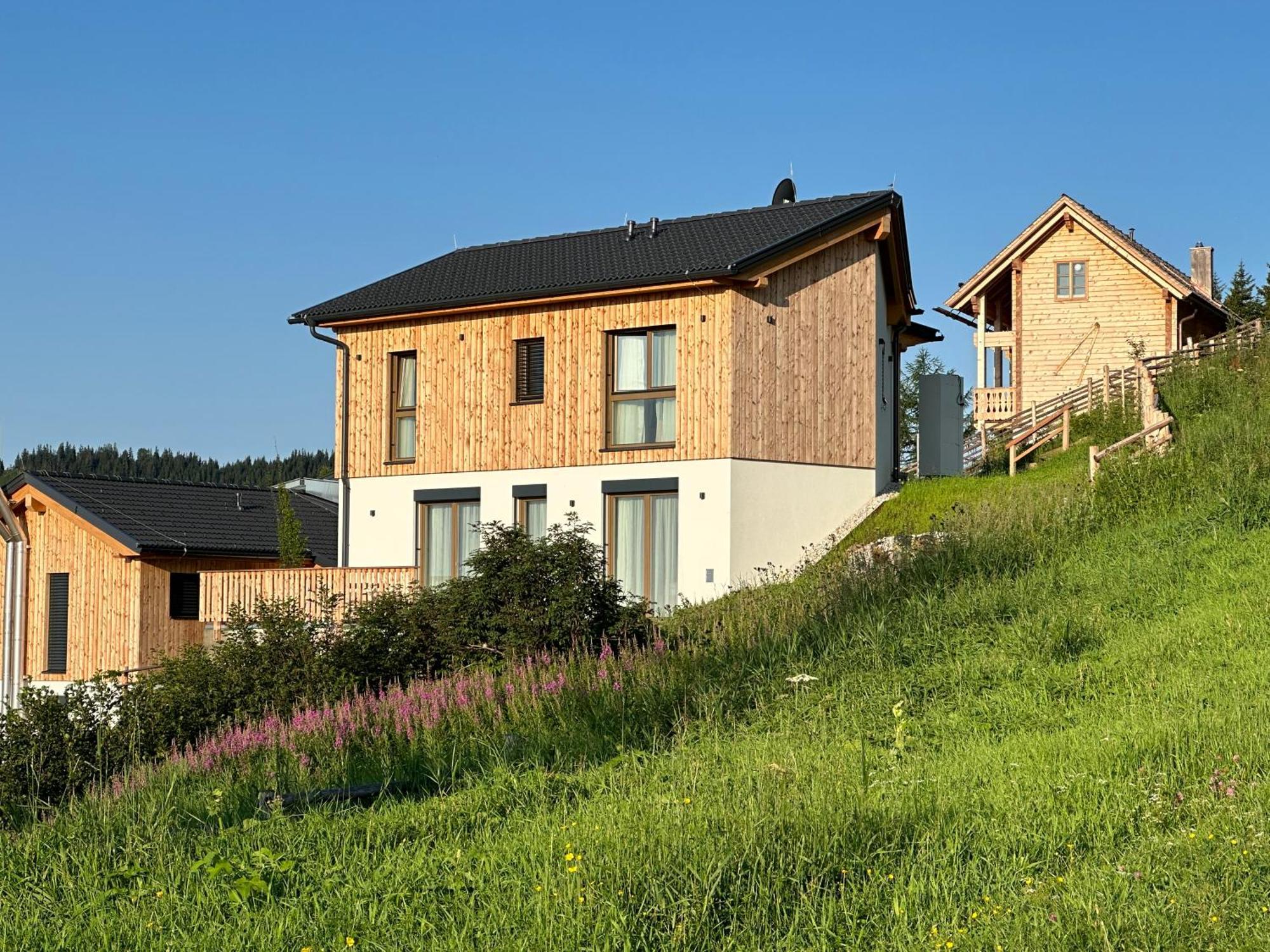 Berglisl - Direkt An Der Schipiste! Neue Ferienwohnung Mit Sauna Klippitztorl Dış mekan fotoğraf