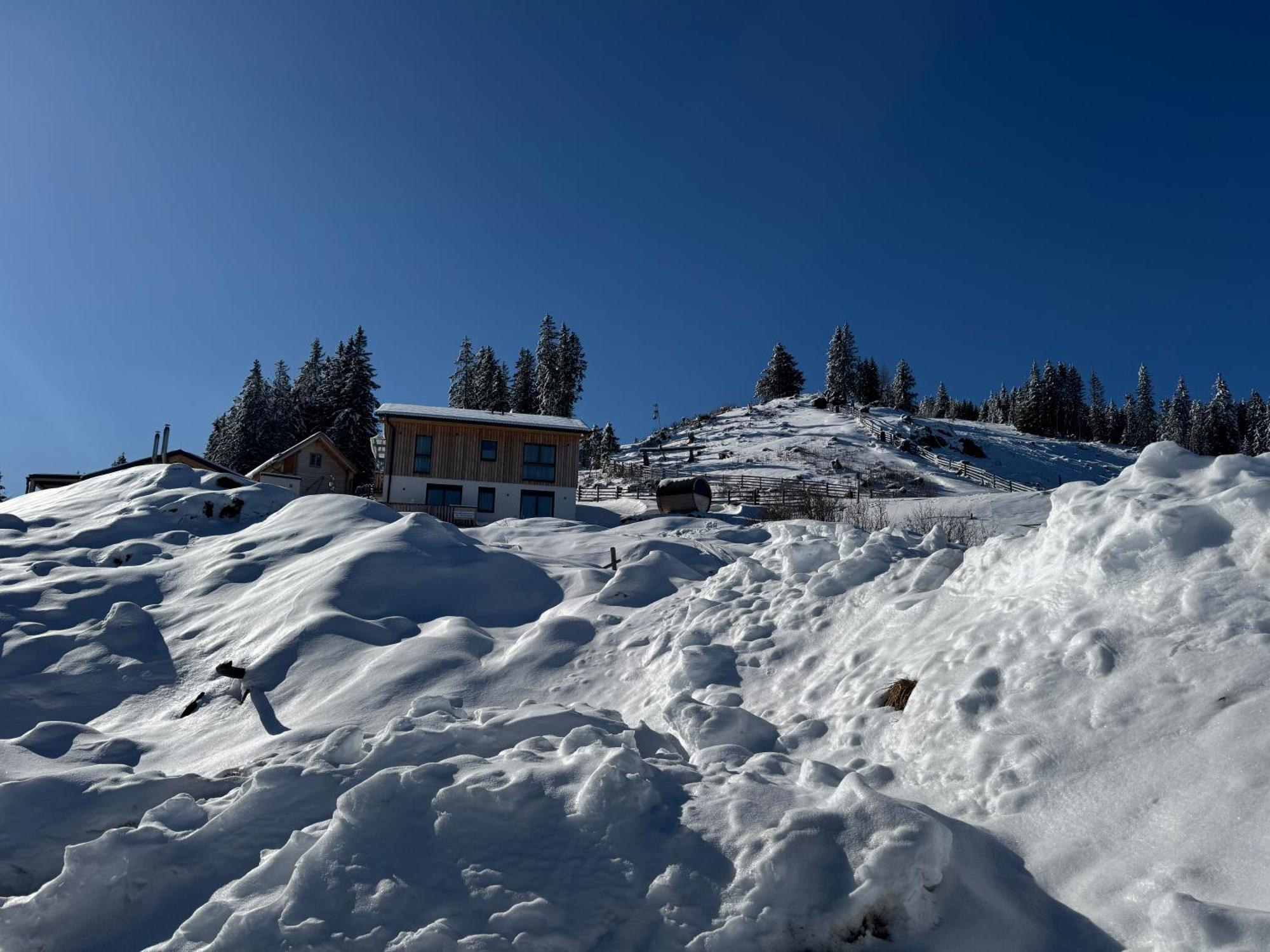 Berglisl - Direkt An Der Schipiste! Neue Ferienwohnung Mit Sauna Klippitztorl Dış mekan fotoğraf