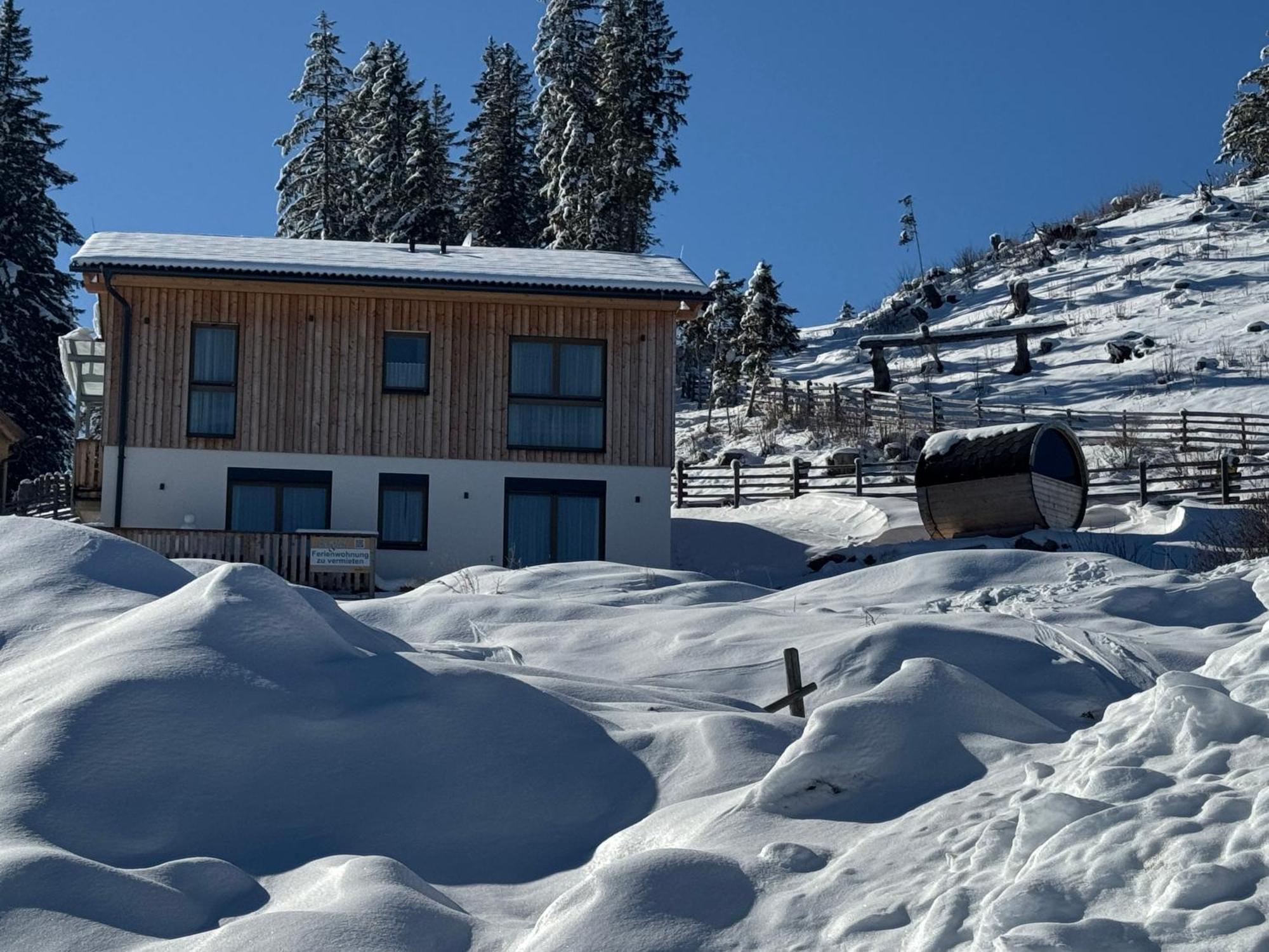 Berglisl - Direkt An Der Schipiste! Neue Ferienwohnung Mit Sauna Klippitztorl Dış mekan fotoğraf