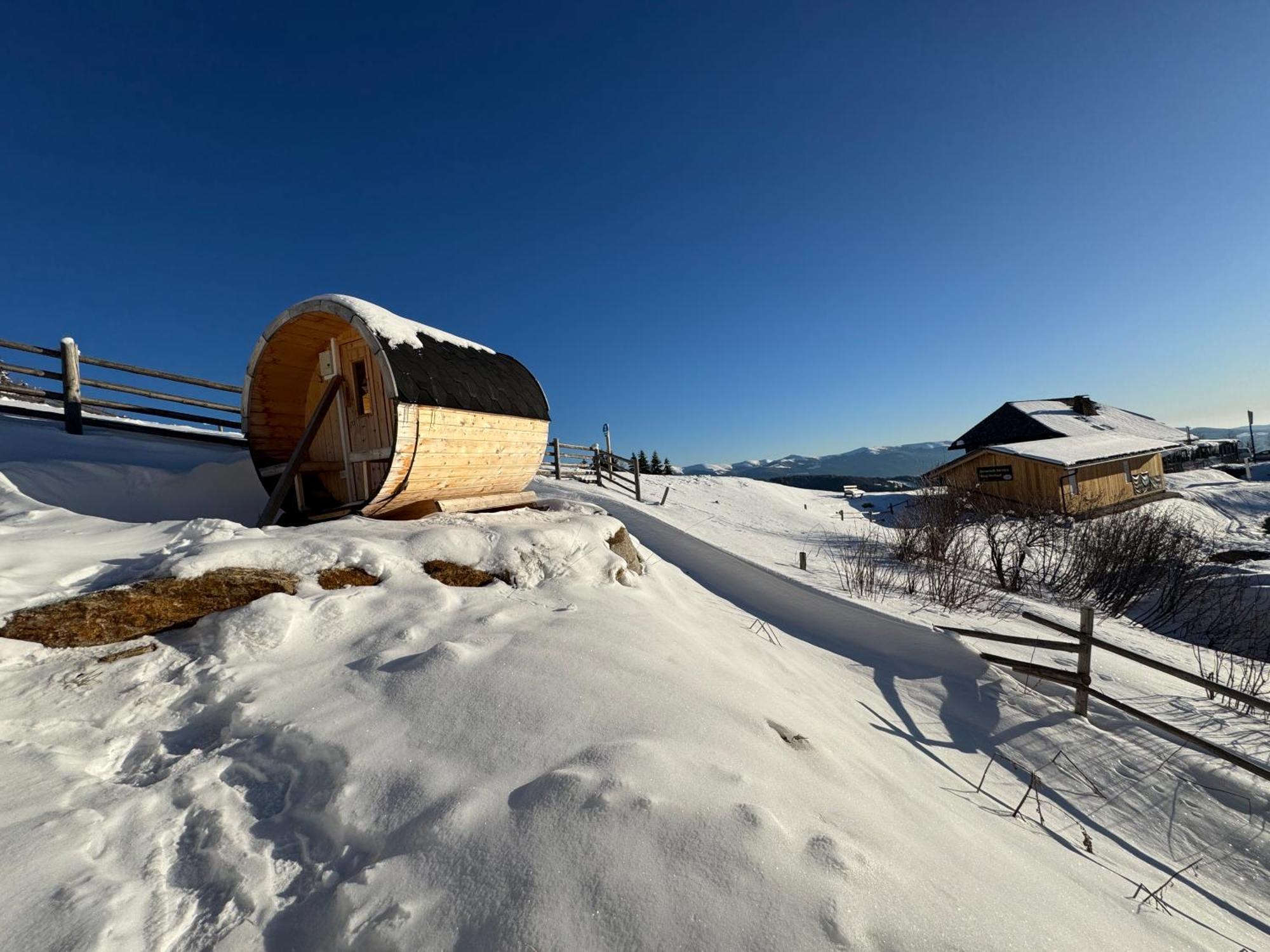 Berglisl - Direkt An Der Schipiste! Neue Ferienwohnung Mit Sauna Klippitztorl Dış mekan fotoğraf